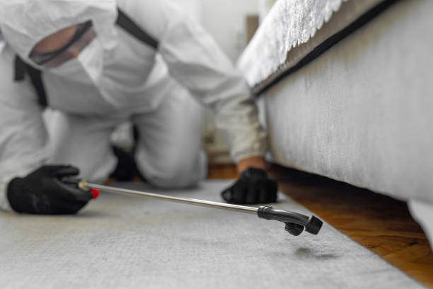 Professional Cockroach Control technician working in Monrovia, IN