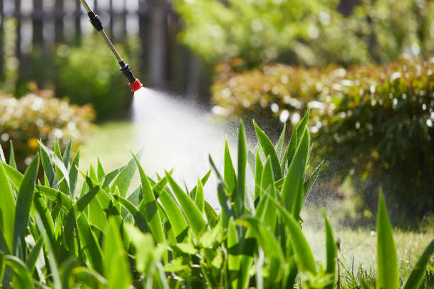 24/7 Emergency Cockroach Control experts in Monrovia, IN