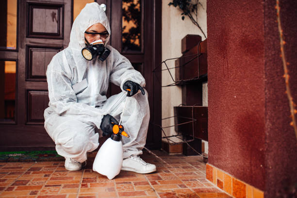 Reliable Cockroach Control contractor in Monrovia, IN by Nex Pest Control
